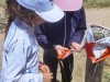 IMG20260611133925