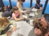 20250606_112730-Copie