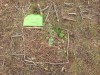 IMG-20230629-WA0005