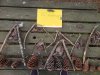 IMG-20230629-WA0011