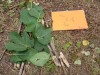 IMG-20230629-WA0013