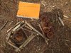 IMG-20230629-WA0014